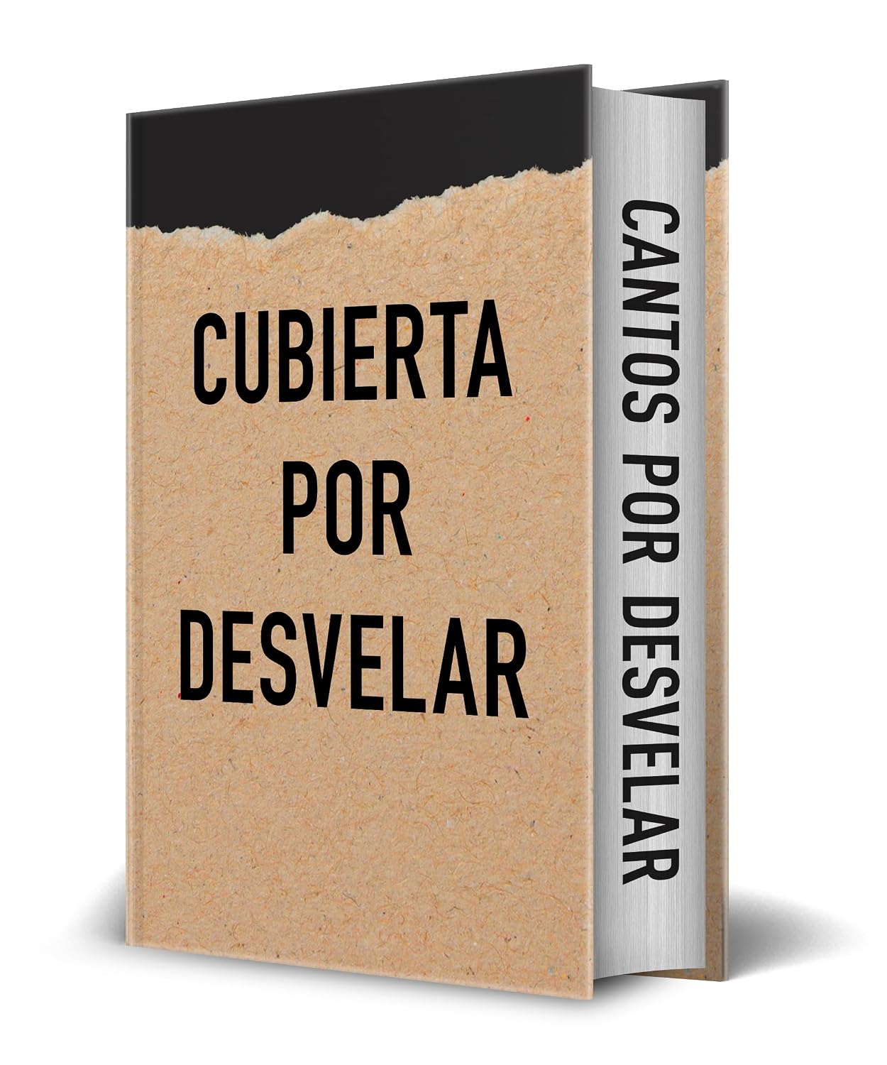 Sin título Empíreo (NO LIBRO 4) Edición limitada con cantos tintados (Planeta Internacional)