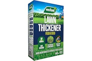 Westland Lawn Thickener 80m2 Box