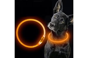 Uppladdningsbart LED-hundhalsband, USB-halsband i en storlek, lysande halsband