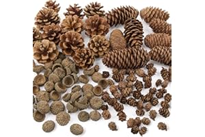 UFLF 120pcs Natürliche Tannenzapfen Mini Eicheln Hütchen Herbst Streudeko zum Basteln für Halloween Thanksgiving Weihnachten Weihnachtsbaum Weihnachtskranz DIY Handwerk