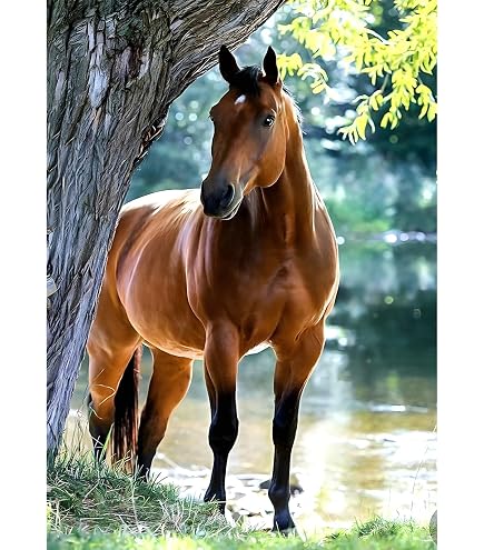 Yeerum DIY 5D Diamond Painting Cheval Cascade Complet Accessoires, Forêt l'eau Broderie Peinture Diamant Painting Kit Complet Point De Croix Cristal Strass Décoration De La Maison 30x40 cm