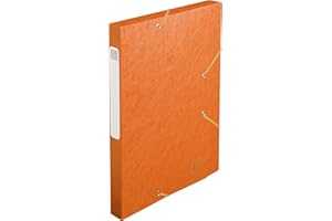 Exacompta 18517H - Carpeta de proyecto con goma, Naranja