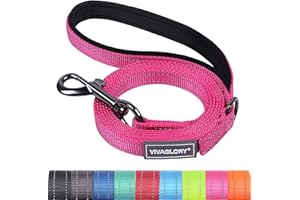 VIVAGLORY Dailyx Dog Lead, Dog Leash for Training & Walking with Soft Padded Handle, Heavy Duty & Double Layer Nylon for Pet Puppy, 90 x 1.4cm, Pink