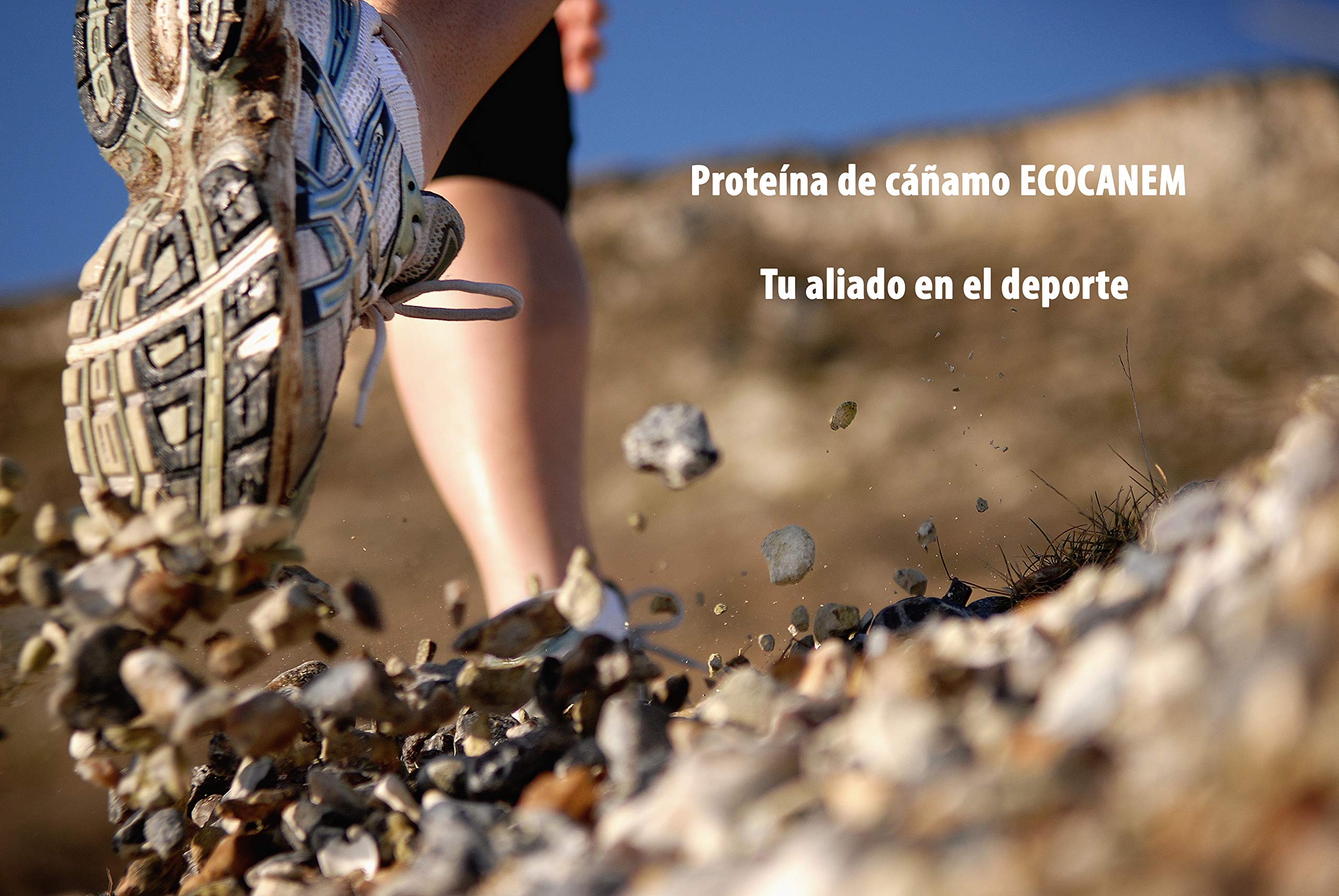 Protena-de-camo-ecolgica-40-de-protena-vegetal-100-Vegano-Protena-Raw-Sin-Glutn-200-g