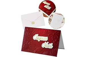 Joli Coon Carte noel 3D - Premium Carte de noel avec enveloppe en papier premium et autocollant cachet pour partenaire, famille & amis - 17 x 11,5 cm