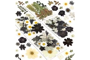 Torkade blommor, hartser 100 st pressade blommor för hantverk svarta äkta naturliga torkade blommor torra löv kit för gör-det