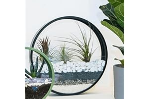 VELLES Steine Kleine Kieselsteine Weiße Dekosteine für Vasen - Deko Aquarium Steine Weiß Kiesl zum Basteln Zierkies Gartensteine Gartendeko Weisse Steine Garten Stein Aquarienkies - 1,9kg