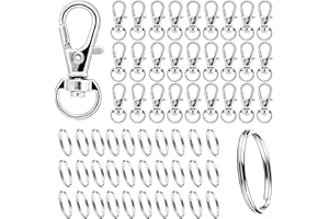 DAGORD 200 Piezas Mosquetones Llaveros Anillos Llaveros 25mm con Mosquetón Pequeños Ganchos con Articulación Giratoria para Bolsos Llaveros Manualidades - Plata
