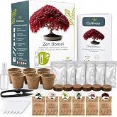 CULTIVEA&reg; Kit of 6 Bonsai for Growing &ndash; Garden &ndash; Gift Idea (Red Maple, Chinese Cercis, Albizia, Kousa Dogwood, Norwegian Spru