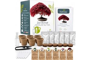 Cultivea® Mini - Odlingsfärdigt Bonsai Kit - Trädgård och inredning - Gåvoidé (röd mapple, kinesisk Cercis, Cornus Kousa, Albizia, gran, juniperus)