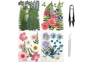 Cayway 4 Paquete Naturales Flores Prensadas Secas, Naturales Flor Prensada Mezclada, Hojas Prensadas Secas Naturale para Resina Scrapbooking, Joyería de Resina Epoxi (Verde Rosa Azul)