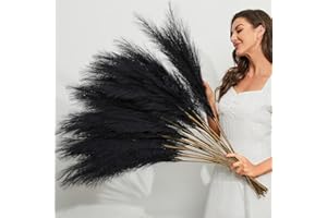 LIBRNTY 20PCS Fiori secchi pampas,piume decorative per vaso,nero mazzo fiori secchi,Adatto per tavola di nozze, decorazione boho, soggiorno, camera da letto(NERO)