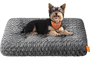 Feandrea Legowisko dla psa, rozmiar M, dla małych psów, legowisko dla zwierząt, pluszowa tkanina, 80 x 50 cm, miękkie wypełnienie, zmywalne, antypoślizgowe, szaro-łupkowe PGW291GN01