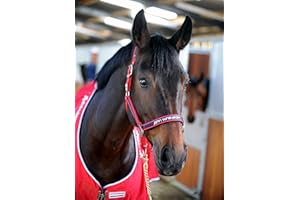 John Whitaker Head Collars