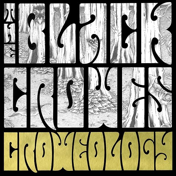 米LP The Black Crowes Shake Your Money Maker B003187401 American Recordings /00260 Shake Your Money Maker LP - The Black Crowes Official Store