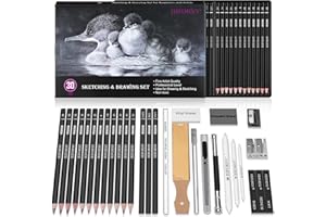 HIFORNY 30 PCS Sketching Drawing Pencil Set,Sketch Pencils Art Supplies with Graphite,Charcoal,Blending Tools,Accessories,Drawing Kit for Adults Artists