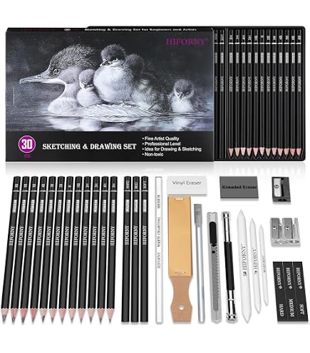 Kit Professionnel De 19 Crayons De Dessin - Graphite, Fusain, Gomme, Pour Artistes Débutants Et Confirmés