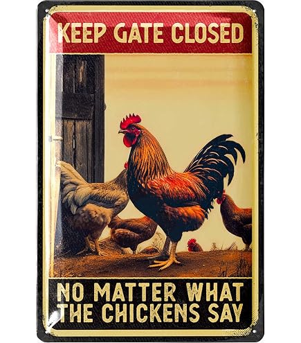 Placche divertenti per uomini Keep Gate Closed No Matter What The Chickens Say Metal Sign Vintage Wall Decor cartelli per garage (dimensioni: 20 x 30 cm