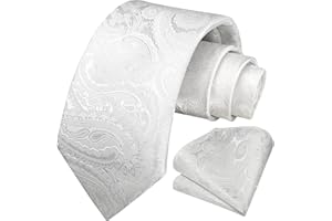 HISDERN Cravate Paisley Homme Cravates Floral Cravate Mariage Cravates de Poche Set