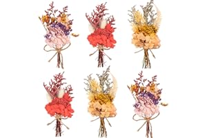 LAUMOE Lot de 6 bouquets de fleurs séchées, mini bouquet de fleurs séchées, fleurs séchées pour bricolage, cadre photo, décoration de maison et de mariage (blanc + jaune + violet)
