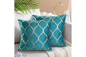 Hanrunsi Cushions Cover 40 x40 Turquoise Pillow Cases 2 Pack Velvet Square Decorative Cushion Teal Green Throw Pillow Covers for Bedroom Couch Sofa