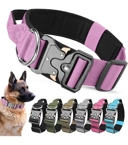Rttochfy Taktisches Hundehalsband – Verstellbar, Nylon, Mit Metall-Schnellverschluss, Für Kleine Bis Große Hunde (Lila, S)