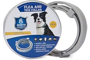 Hyindoor Collar Antiparasitario para Perros Collar contra Pulgas Garrapatas y Mosquitos con 8 Meses de Protección Collar Antipulgas Ajustable e Impermeable de Aceite Esencial Natural (62cm)
