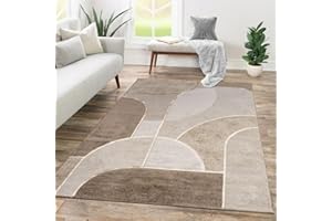 TT Home Tapis Salon Salle À Manger À Poils Courts Motif Abstrait Design Géométrique Optique Arc Effet Haut-Bas Style Moderne, Dimension:160x230 cm
