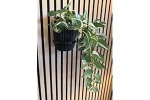 Vleugel Akustikpaneel 2X großer Ring + 2X großer Topf