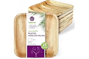 GoBeTree Platos Desechables de Hoja de Palma 25 Platos Cuadrados de 25 cm. Vajilla para barbacoas, picnic y Fiesta de cumpleaños, Similar al bambú, más fuerte que platos de papel
