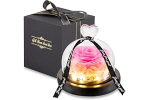 ‎GLASSEAM Glasseam Blumen Muttertag, Konservierte Rose Oma Geschenk, Ewige Rose im Glas mit LED Lichtern, Rosa Infinity Rosen Blumen Verschicken Geschenke für Mama, Romantische Valentinstag Geburtstag