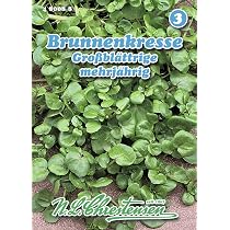N.L. Chrestensen Brunnenkresse-Samen – Großblättrige Kresse, Für Garten, Balkon Oder Küche