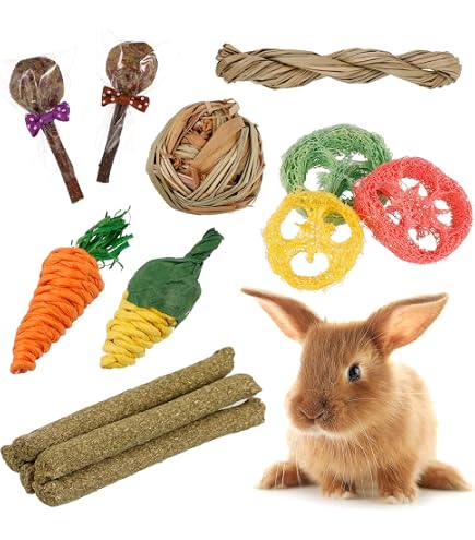 Jouet à Ronger En Paille Pour Lapin - Boule Naturelle Pour Usure Des Dents - Stimulation Mentale Et Jeu - 7