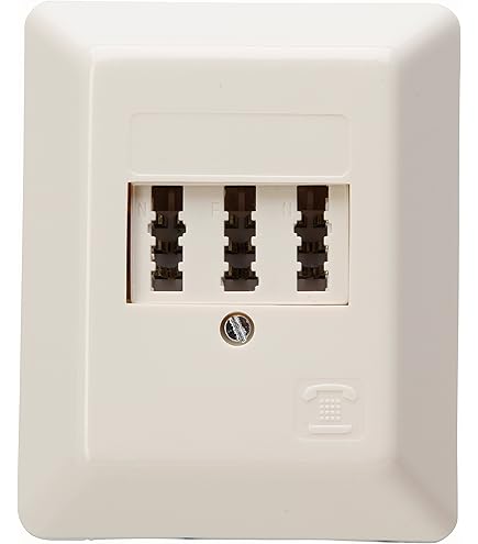 Busch-Jäger De Raccordement Téléphonique Lot Complet/Téléphone Raccordement TAE 3 X 6 NFN 1 Compartiment Cadre Et Couvercle, Future Linear Blanc Studio