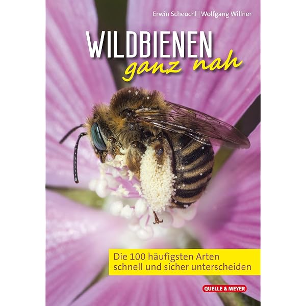Bildatlas der Farn- und Bltenpflanzen Deutschlands: Alle 4200 Pflanzen in  Text und Bild : Haeupler, Henning, Muer, Thomas: Amazon.de: Bcher