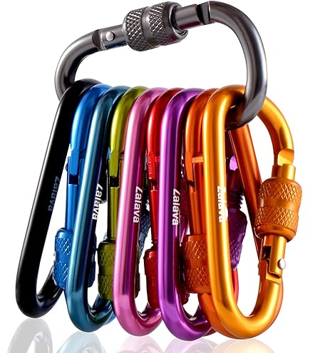 Holesto moschettone Piccolo Portachiavi, Set di 3 moschettoni con 2 Ganci a Moll