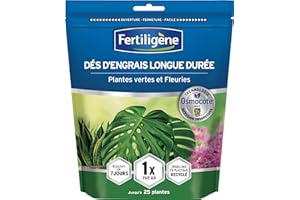 FERTILIGÈNE FERTILIGENE OSPPBN - Dés d'Engrais Longue Durée Osmocote Max Plantes Vertes et Fleuries x25 - Pratique, 1 seule application par an - Protège les racines - Résultats dès 1semaine - Pour 25 plantes