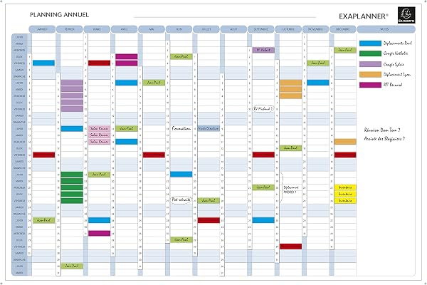 EXACOMPTA Planning annuel magnétique 90x59cm vendu en kit avec de nombreux accessoires