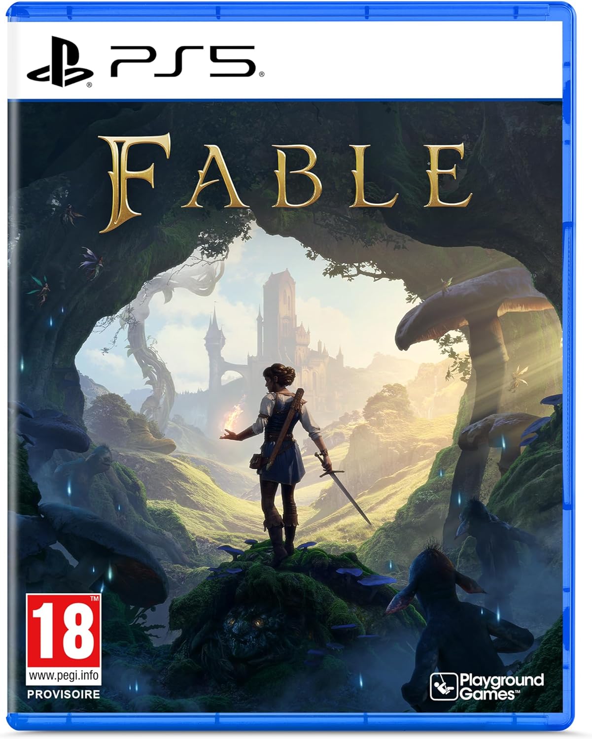 À Qui S'adresse le Fable PlayStation 5 Version physique Nécessit ? Profils Recommandés