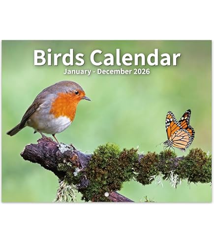 Lang Birds In The Garden 2024 Wall Calendar 24991001895 - View #5