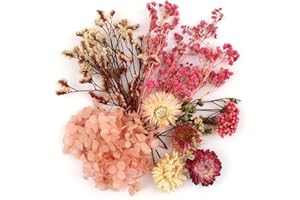 HOPTON Trockenblumen Zum Basteln, Natürliche Getrocknete Blumen, Trockenblumen Klein, Getrocknete Blumen Deko für DIY Handwerk Epoxidharz Scrapbook Fotorahmen Karten Machen(Rosa)