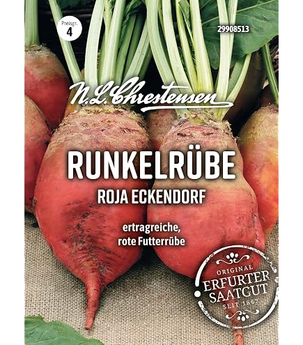 Rbensamen - Futterrben Eckdogelb, 15 g von Kiepenkerl : Amazon.de: Garten