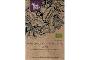 MAGIC GARDEN SEEDS Alcachofa 'Imperial Star' (Cynara scolymus) orgánico - aprox. 20 semillas