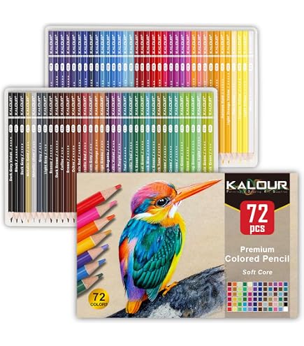 Faber-Castell Black Edition - 36 Crayons de couleur - couleurs brillantes assorties - boîte métal Pas Cher | Bureau Vallée
