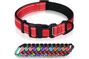 Taglory Collar Perro, Collar Nylon Reflectante Neopreno Forrado Ajustable para Perros Grandes, Rojo
