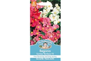 MR FOTHERGILLS Mr Fothergill?s Seeds Ltd 22102 Mr Fothergill's Begonia Summer Rainbow F2, Mixed