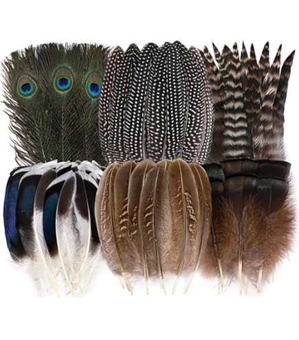 40 Pièces Plumes Naturelles D'Inde Et Faisan Pour Artisanat - 4 Styles Mixtes 13-17 Cm