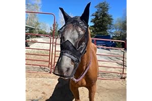 LALAGO CareMaster Integral Fly Mask, Fly Mask Horse, Fly Mask Horses, Fly Mask Horse Warmblood, Thick Fleece Padding, Transparent Fine Mesh Horse Fly Protection Mask (Integral-L