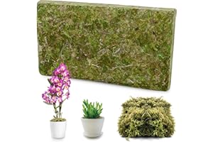 ZATIX​BU Sphaigne Mousse Sèche 200g, Mousse De Sphaigne Naturelle pour Orchidées Phalaenopsis, Hydratant Durable Pur et Écologique, Substrat Horticole pour Reptiles Terrariums Plantes Tropicales Décoration