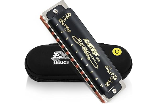 East top Harmonica diatonique en C 10 trous 20 tons T008K avec étui noir, harmonica blues pour Adultes débutant, étudiants et enfants, comme meilleur cadeau